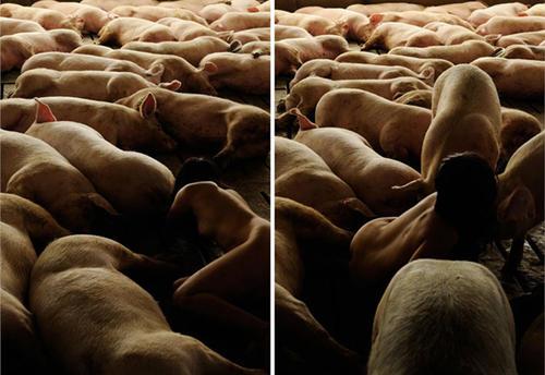 微信牛牛 性生活前，一定要做好这些准备-阿勒源码网