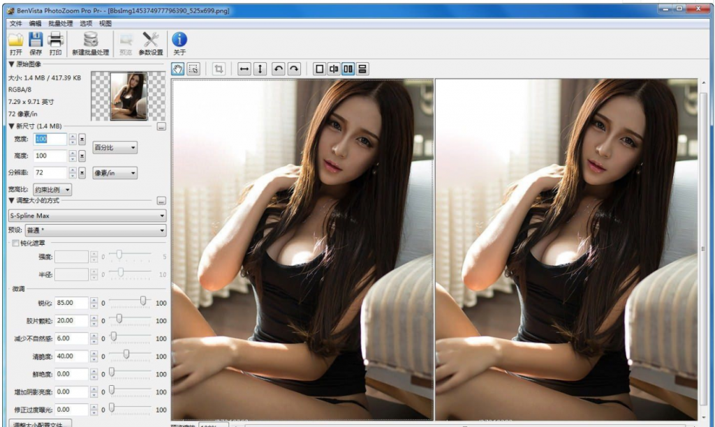 PhotoZoom破解专业版-图像无损放大工具 PhotoZoom破解专业版-图像无损放大工具