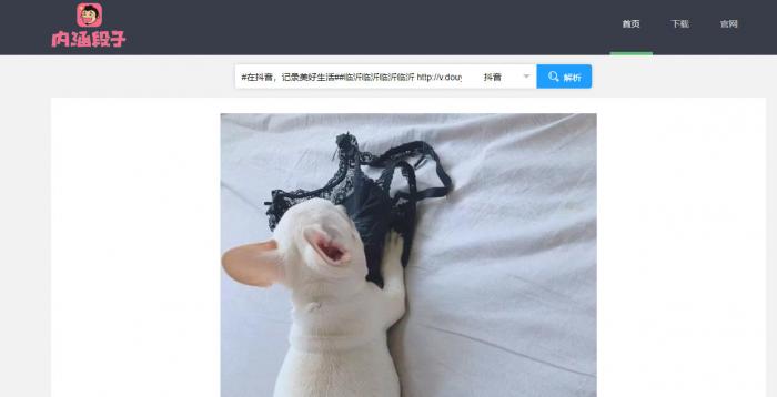 短视频无水印解析源码半开源分享-阿勒源码网