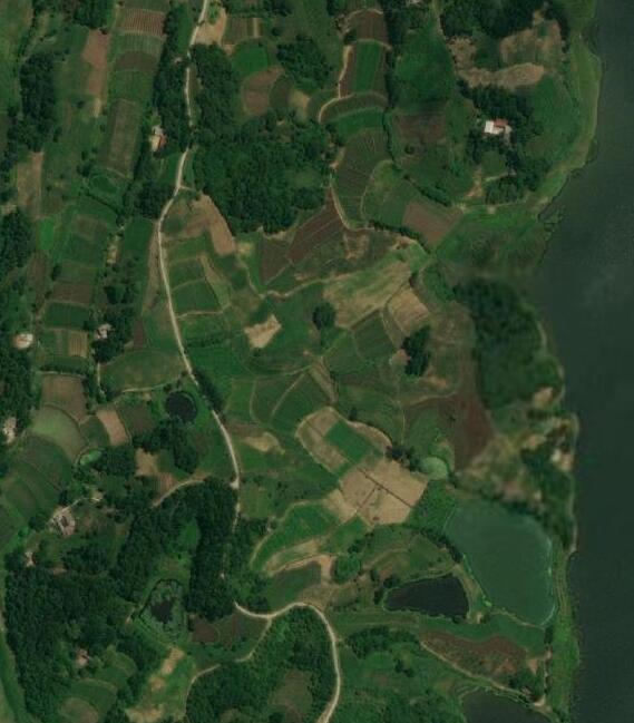 专业版谷歌地球地图永久版某拼购买-阿勒源码网