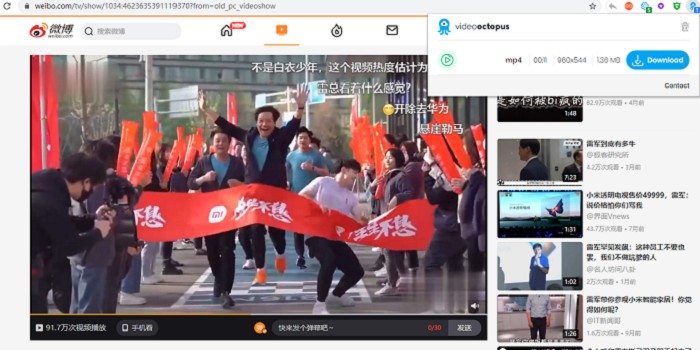 浏览器网页视频下载Video Octopus插件-阿勒源码网