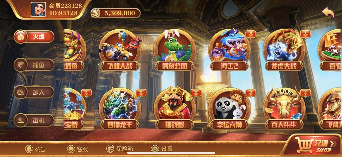 无错运营级别逍遥娱乐,2021最新大富豪,二开增加多款子游戏,双端完整组件-阿勒源码网