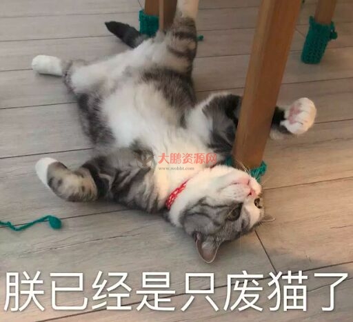 图片[15]-避孕不止安全套，17种避孕方法了解一下好兄弟们-阿勒源码网