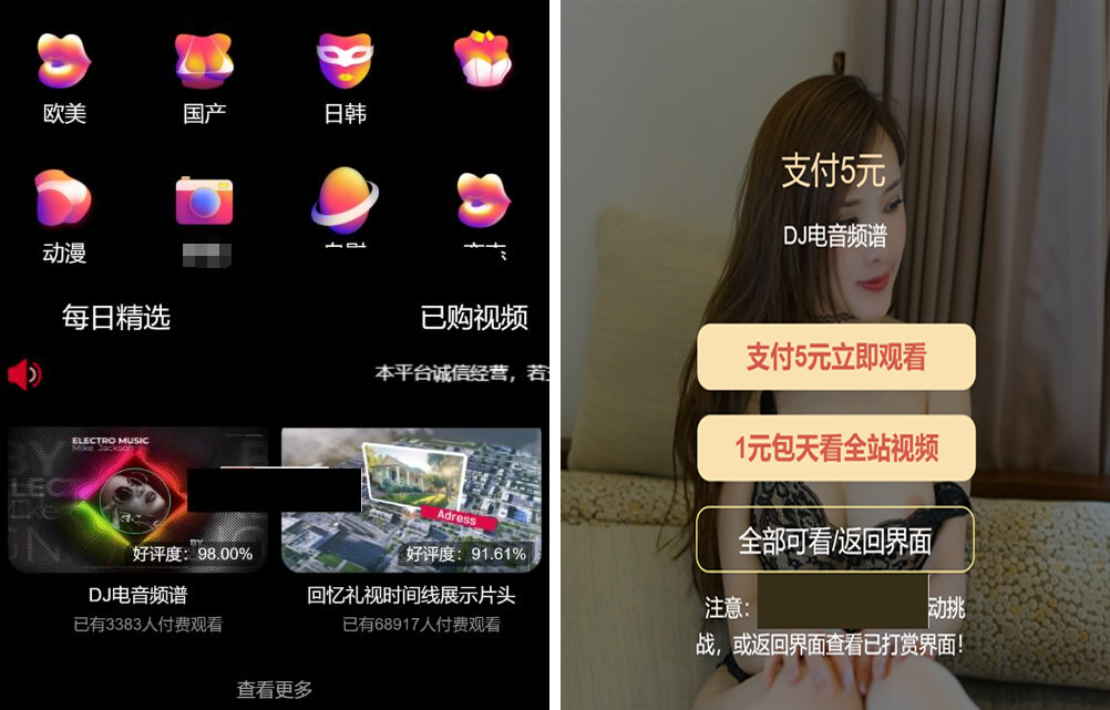 最新版付费视频打赏程序源码 多模板+全新UI 带包天+可扣量+代理 非云赏V系列-阿勒源码网