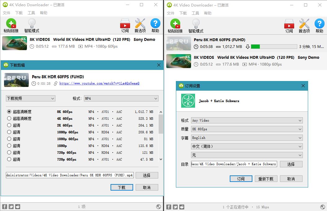油管高清视频下载利器4K Video Downloader v4.20.4-阿勒源码网